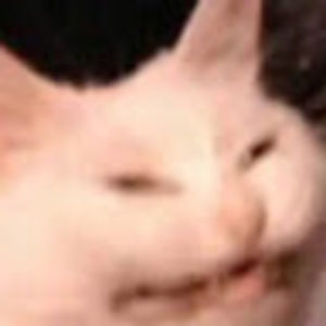 Meet your Posher, Arici